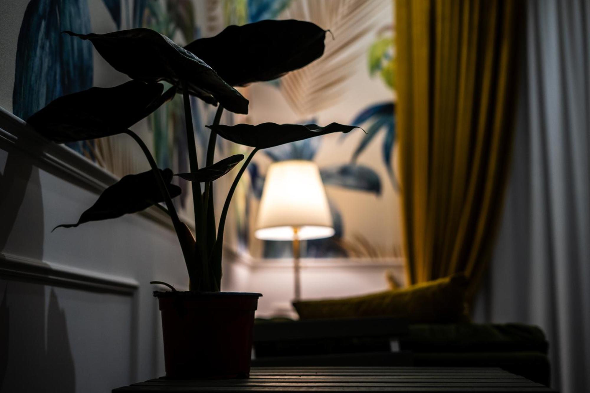 Bed and Breakfast La Grande Bellezza Neapol Zewnętrze zdjęcie